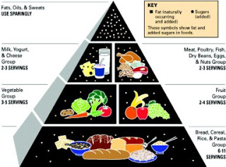 Food Pyramid Food Pyramid