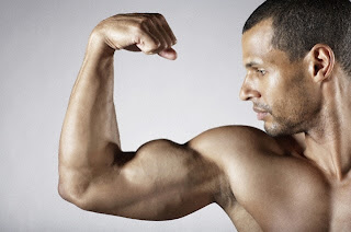 biceps, muscle, biceps curl