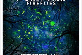 Lean It UP WSOTD, 11.25: John Dahlback (Feat. Melanie Fontana) — Fireflies