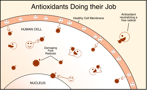 antioxidants antioxidants, free radicals, what are antioxidants