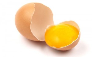 egg yolk, egg nutrition, egg yolk nutrition
