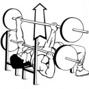 How To: Bench Press