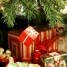 Days 4-12 — The 12 Days of Holiday Fitness Gifts