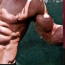 The Step-By-Step Blueprint to Six Pack Abs