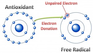 antioxidant_activity antioxidant, free radicals, free radical, antioxidants, antioxidant food, food with antioxidants, antioxidants food, foods antioxidants,
