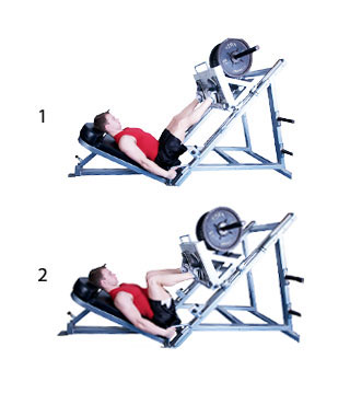 leg press, leg exercises, best exercises, best ab exercises, best shoulder exercises, best chest exercises, best arm exercises, best abdominal exercises, fitness, best stomach exercises, best bicep exercises, best biceps exercises