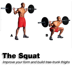 squat, squats, best exercises, best ab exercises, best shoulder exercises, best chest exercises, best arm exercises, best abdominal exercises, fitness, best stomach exercises, best bicep exercises, best biceps exercises