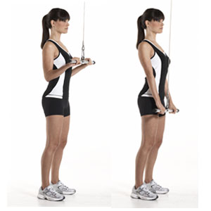 triceps pushdown, triceps exercise, best exercises, best ab exercises, best shoulder exercises, best chest exercises, best arm exercises, best abdominal exercises, fitness, best stomach exercises, best bicep exercises, best biceps exercises