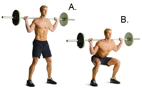 Barbell Squat Barbell Squat, squat workout, squat exercises, full body workouts, full body workout plans, all squat workout, best leg exercises, goblet squat, goblet squats, barbell squats, fat burning workout, front squats, how to squats, bosu ball squats, wall squats, overhead squats, sumo squats, jump squats, kettlebell swing squats