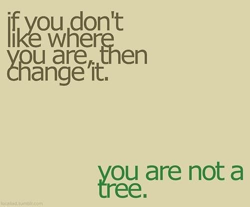 You Are Not A Tree motivational fitness pictures, motivational workout pictures, workout motivation, motivational workout photos, motivational workout pics, inspirational workout pictures, fitness motivation, fitness motivation quote, fitness motivational quotes, fitness motivation quotes, fitness quotes for motivation, fitness quotes motivational, motivation fitness, motivational fitness quotes, daily fitness motivation, motivation work out, fitness motivation quote, motivational quotes for fitness, motivation to exercise, motivation for fitness, fitness motivation pics, workout motivation, motivation workout, exercise motivation, motivational fitness sayings, motivation to work out, motivational quotes fitness, fitness motivational posters, fitness motivation pictures, fitness motivation tips, gym motivation