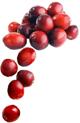 Cranberries cranberry, cranberries, cranberry nutrition facts