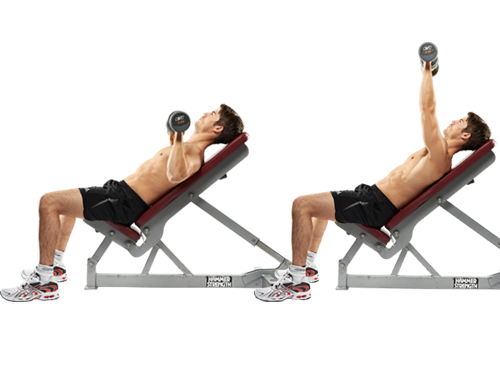Incline Dumbbell Chest Press Incline Dumbbell Chest Press