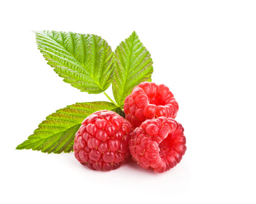 Raspberries raspberries, raspberry, raspberry nutrition facts