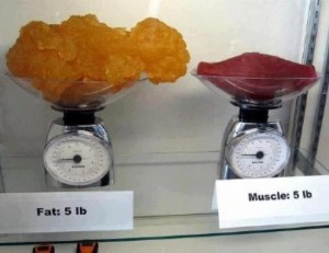 calories to build muscle, nutrition to build muscle, diet to build muscle, foods to build muscle, how to build lean muscle mass, how to build lean muscle, nutrient requirements, protein per day, fat per day, how much water per day, how do you build muscle, how to put weight on, how to put on weight, how can i build muscle, how do i gain muscle, how can i gain muscle, how do you gain muscle, gain muscle, how to make muscles, ways to build muscle, the importance of water, importance of water, how to gain muscle mass, muscle mass gain, how to build fast muscle, water per day, free diet plans, how to gain muscle quick, carbs per day, lose fat and build muscle