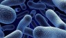 [Review] Dumbing Down The Mind-Numbing World Of Probiotics; The Complete Probiotic Buyer’s Guide