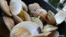 [Recipes] Eat Seasonally This Summer With Qdoba-Inspired Mega Omega Fish Tacos, Grilled Salmon Lettuce Cups, & Steamed Clams