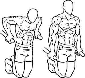 Dips Dips, burn fat and build muscle, how to burn fat and build muscle, how to burn belly fat, how to lose belly fat, how to lose belly weight, burn belly fat, lose belly fat, exercises to lose belly fat, how to lose belly fat fast, lose belly fat naturally, ways to lose belly fat, how to lose lower belly fat