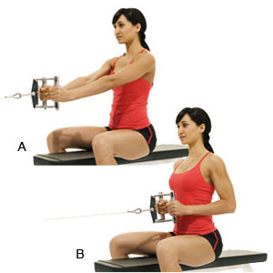 Narrow Grip Seated Cable Rows Narrow Grip Seated Cable Rows, back exercises, best back exercises, best back exercises to build muscle, best lat exercises, best teres exercises, best rhomboid exercises, best trap exercises, best trapezius exercises, best lower back exercise, erector spinae exercises, teres exercises, rhomboids, rhomboid exercises, lat exercises