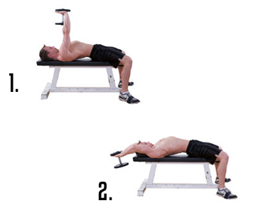 Dumbbell Pullovers Dumbbell Pullovers, back exercises, best back exercises, best back exercises to build muscle, best lat exercises, best teres exercises, best rhomboid exercises, best trap exercises, best trapezius exercises, best lower back exercise, erector spinae exercises, teres exercises, rhomboids, rhomboid exercises, lat exercises