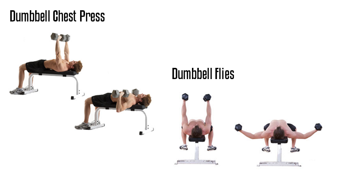 Dumbbell Chest Press & Dumbbell Flies Dumbbell Chest Press & Dumbbell Flies