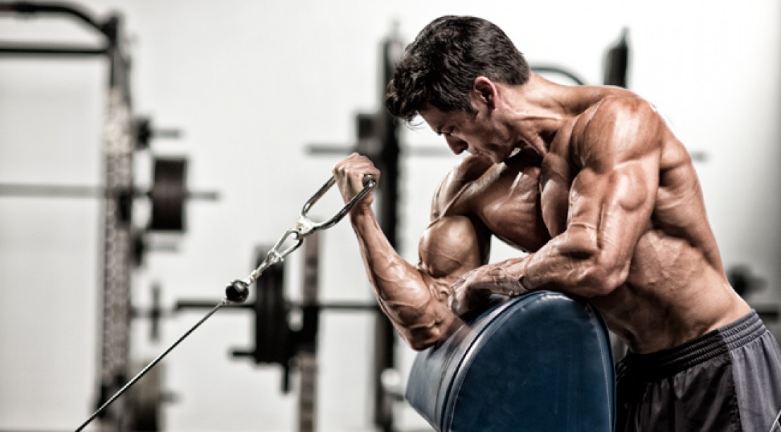 one arm preacher curl, biceps exercises, bicep exercises, best biceps exercises, best bicep exercises, big biceps, large biceps, biceps workout, bicep workout, how to get big biceps, best bicep workout, bicep exercise, bicep workouts