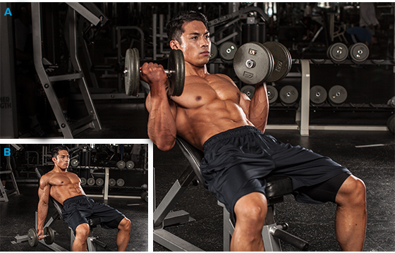 incline dumbbell biceps curls, biceps exercises, bicep exercises, best biceps exercises, best bicep exercises, big biceps, large biceps, biceps workout, bicep workout, how to get big biceps, best bicep workout, bicep exercise, bicep workouts