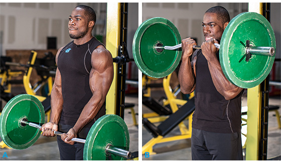 ez bar biceps curls, biceps exercises, bicep exercises, best biceps exercises, best bicep exercises, big biceps, large biceps, biceps workout, bicep workout, how to get big biceps, best bicep workout, bicep exercise, bicep workouts