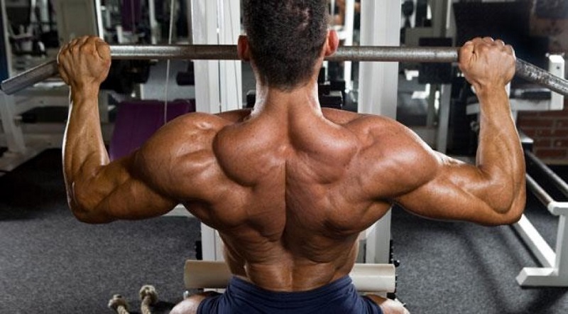 back workout, workout of the day, wod, daily workout, workouts, workout plan, workout plans, workout routine, workout routines, work out, gym workout, work out plans, workout program