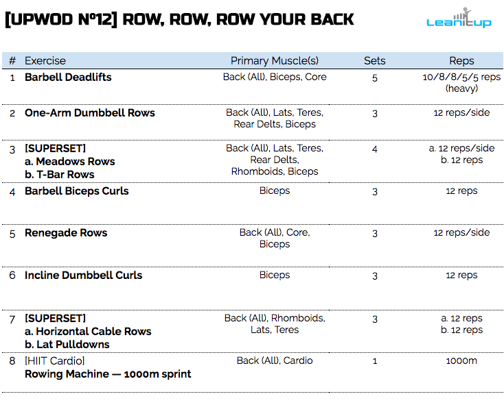 back workout, lats workout, lat workout, workout of the day, wod, daily workout, workouts, workout plan, workout plans, workout routine, workout routines, work out, gym workout, work out plans, workout program