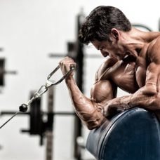 arm workout, biceps workout, triceps workout, workout of the day, wod, daily workout, workouts, workout plan, workout plans, workout routine, workout routines, work out, gym workout, work out plans, workout program