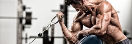 arm workout, biceps workout, triceps workout, workout of the day, wod, daily workout, workouts, workout plan, workout plans, workout routine, workout routines, work out, gym workout, work out plans, workout program
