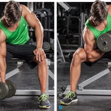 back workout, workout of the day, wod, daily workout, workouts, workout plan, workout plans, workout routine, workout routines, work out, gym workout, work out plans, workout program