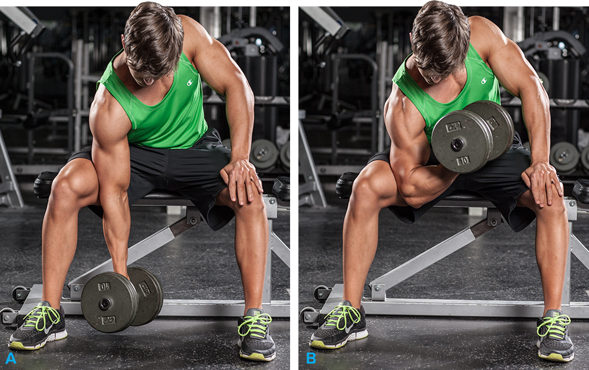back workout, workout of the day, wod, daily workout, workouts, workout plan, workout plans, workout routine, workout routines, work out, gym workout, work out plans, workout program