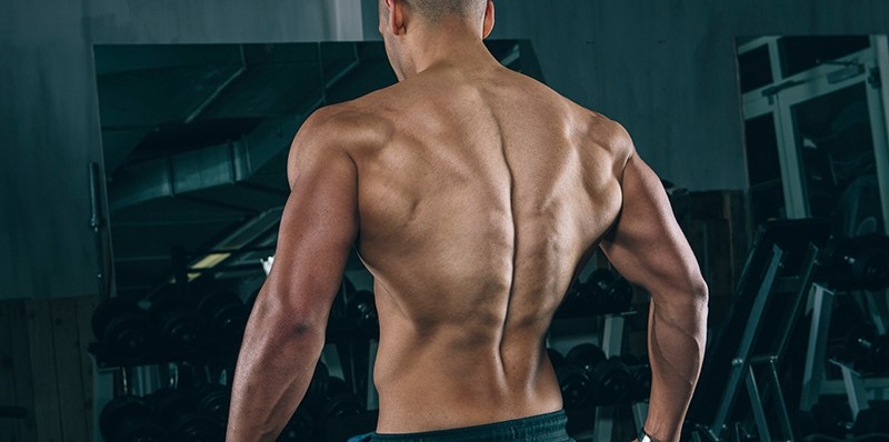 back workout, workout of the day, wod, daily workout, workouts, workout plan, workout plans, workout routine, workout routines, work out, gym workout, work out plans, workout program