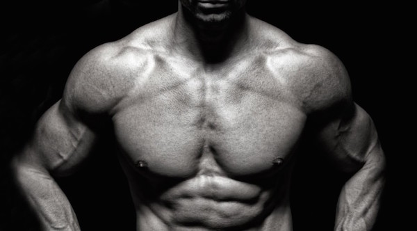 shoulder workout, deltoid workout, shoulders workout, shoulder workout plan, workout of the day, wod, daily workout, workouts, workout plan, workout plans, workout routine, workout routines, work out, gym workout, work out plans, workout program