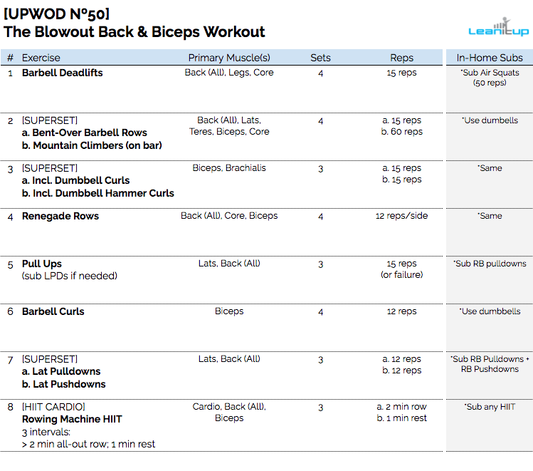 back workout, workout of the day, wod, daily workout, workouts, workout plan, workout plans, workout routine, workout routines, work out, gym workout, work out plans, workout program